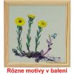 Obrazy, obrázky