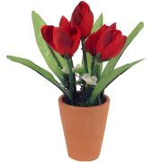 Tulipán v kvetináči